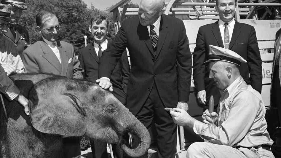 President Dwight Eisenhower touches the head of Dzimbo, a 440-pound elephant, on Oct. 12, 1959. The French Community of African Republics sent Dzimbo to Washington as a gift for the president. President Dwight Eisenhower touches the head of Dzimbo, a 440-pound elephant, on Oct. 12, 1959. The French Community of African Republics sent Dzimbo to Washington as a gift for the president.