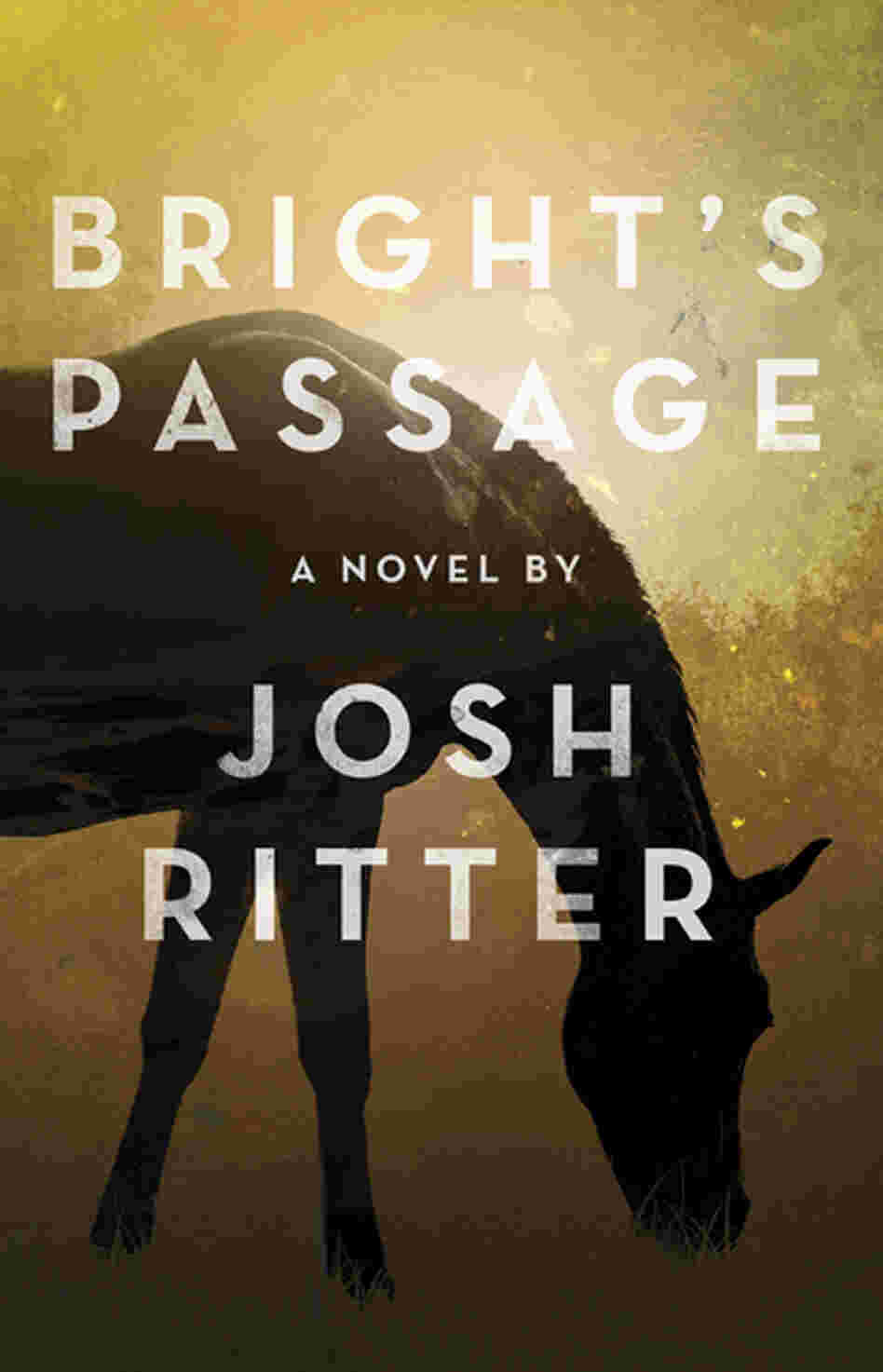 Bright's Passage by Josh Ritter Bright's Passage by Josh Ritter