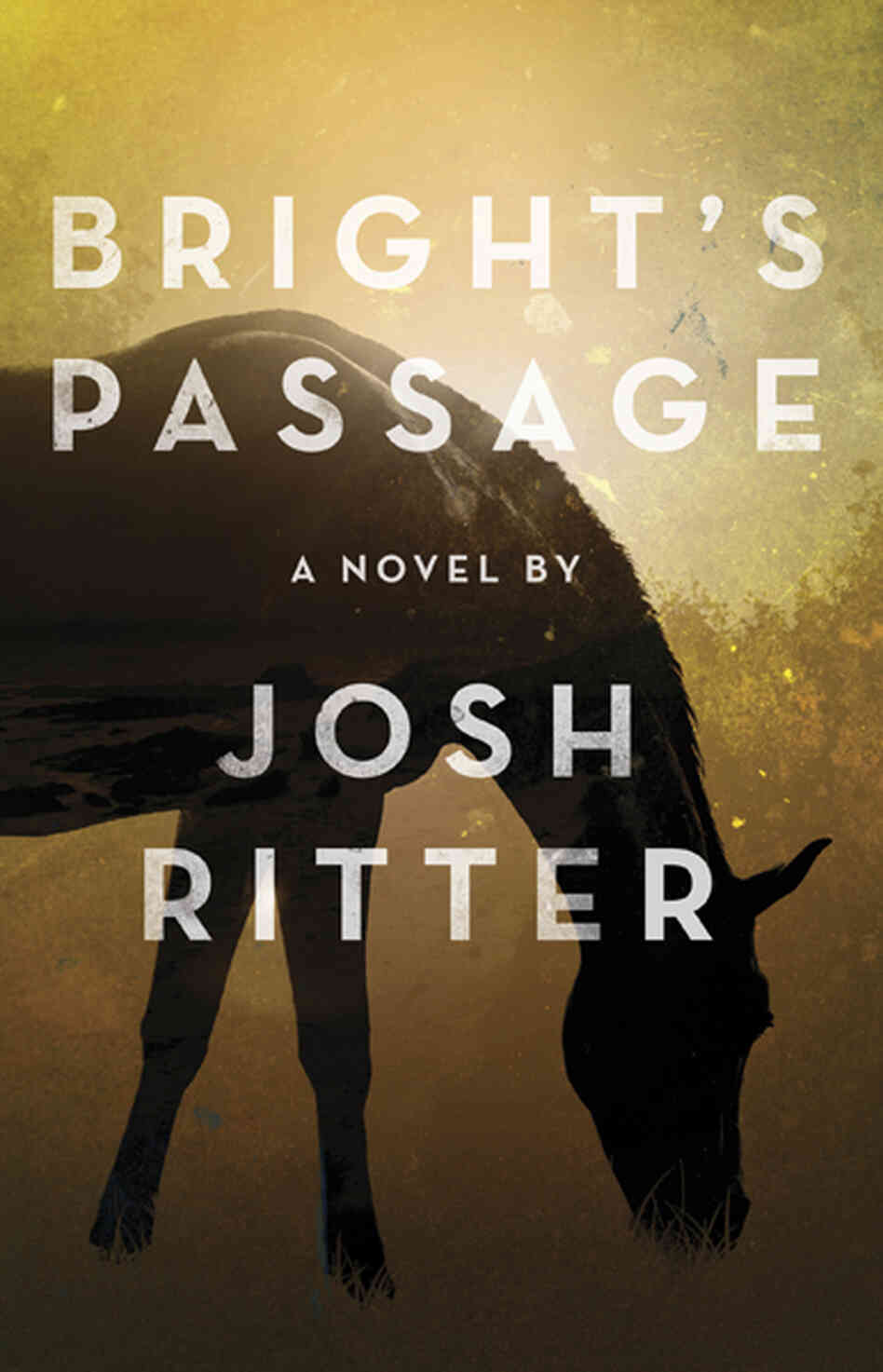 Bright's Passage by Josh Ritter Bright's Passage by Josh Ritter