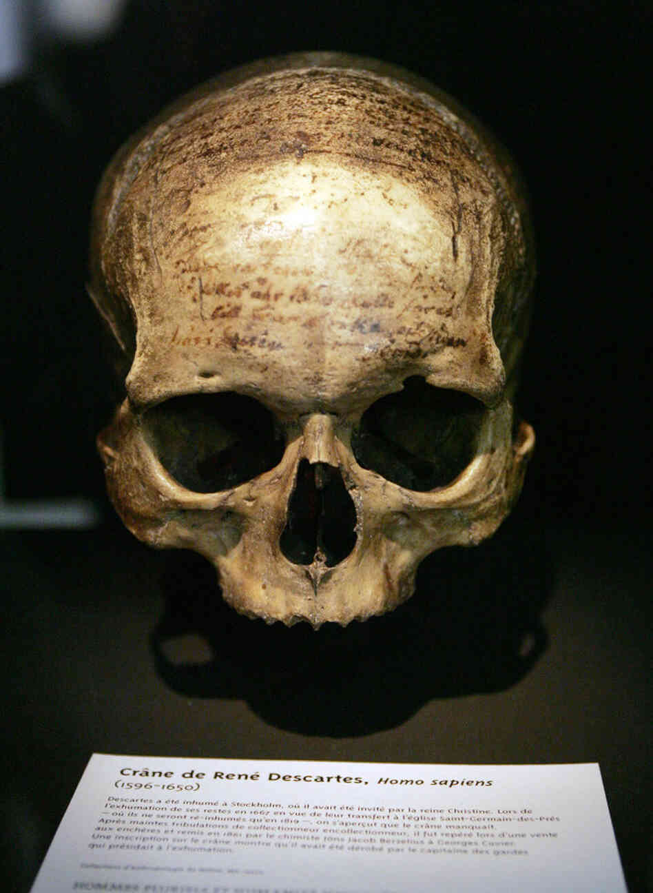 The skull of French philosopher Rene Descartes (1596-1650), displayed at the Musee de l'Homme in Paris.