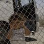 A Palestinian family waits to cross from the Gaza Strip into Egypt through the Rafah border crossing on Saturday.