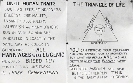 The American Eugenics Society promoted ideas of racial betterment and genetic education through public lectures, conferences, publications and exhibits at county and state fairs — like this chart labeled "The Triangle of Life" from the Kansas Free Fair.