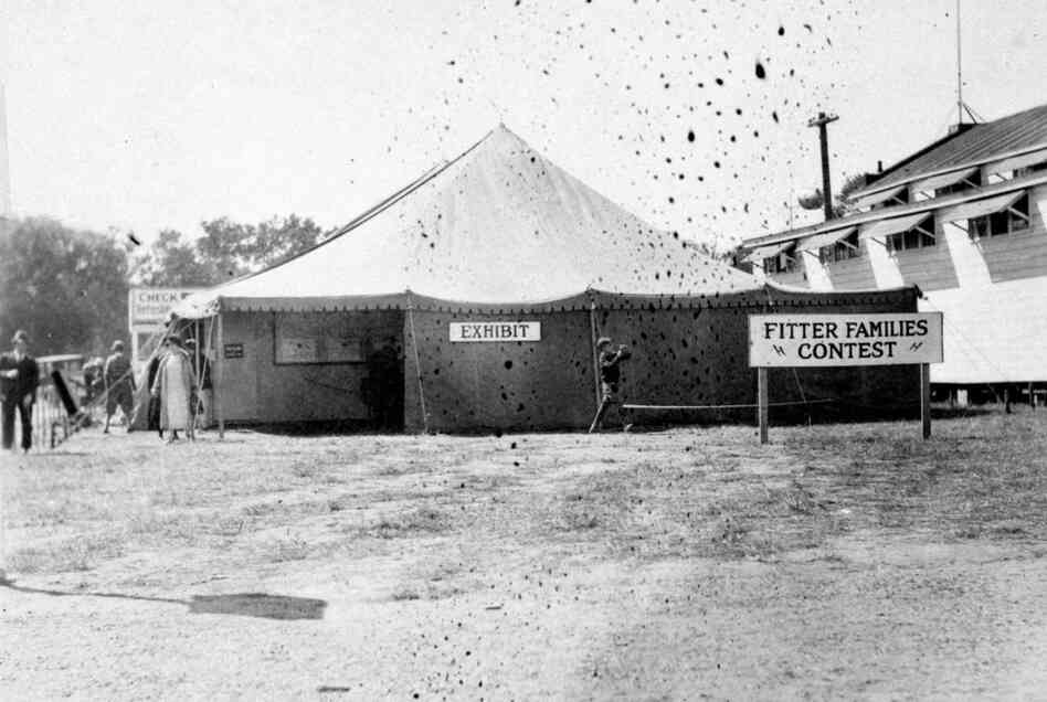 An exhibit and examination tent at an Eastern States Exposition.