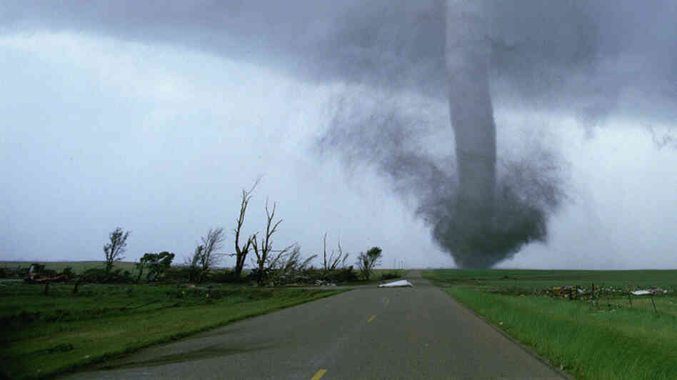 A tornado touches down in Sean Casey's IMAX film, Tornado Alley. A tornado touches down in Sean Casey's IMAX film, Tornado Alley.