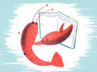 Illustration of a lobster reading a book. Illustration of a lobster reading a book.