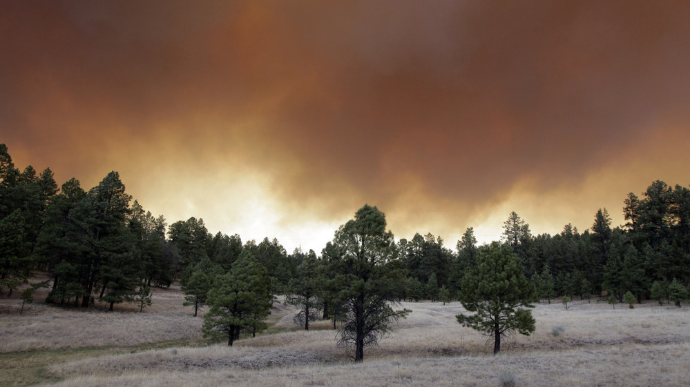 Smoke plumes from the Wallow Fire rose over the Apache-Sitgreaves National Forest near Luna, N.M., on Monday (June 6, 2011).