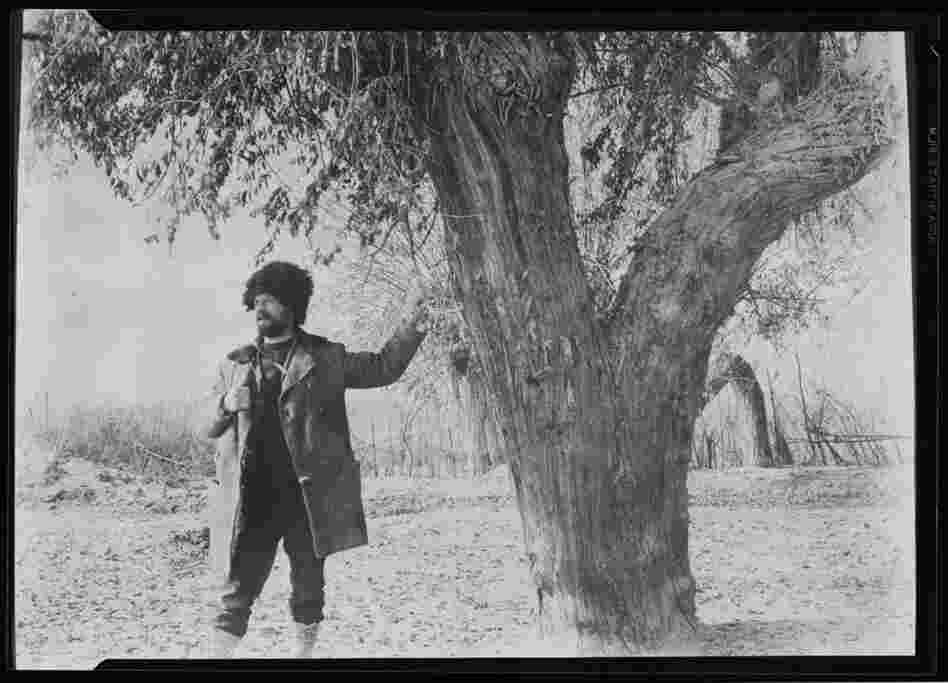 To "skim the earth in search of things good for man" is how Frank Meyer described his work as an agricultural explorer. 