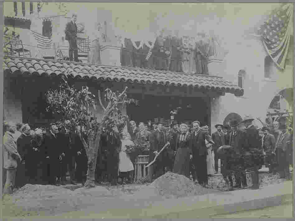 Theodore Roosevelt replants a Bahia orange tree in 1903 in Riverside, Calif.  The tree, one of two sent to the U.S. from Brazil, helped give birth to California's orange industry. 