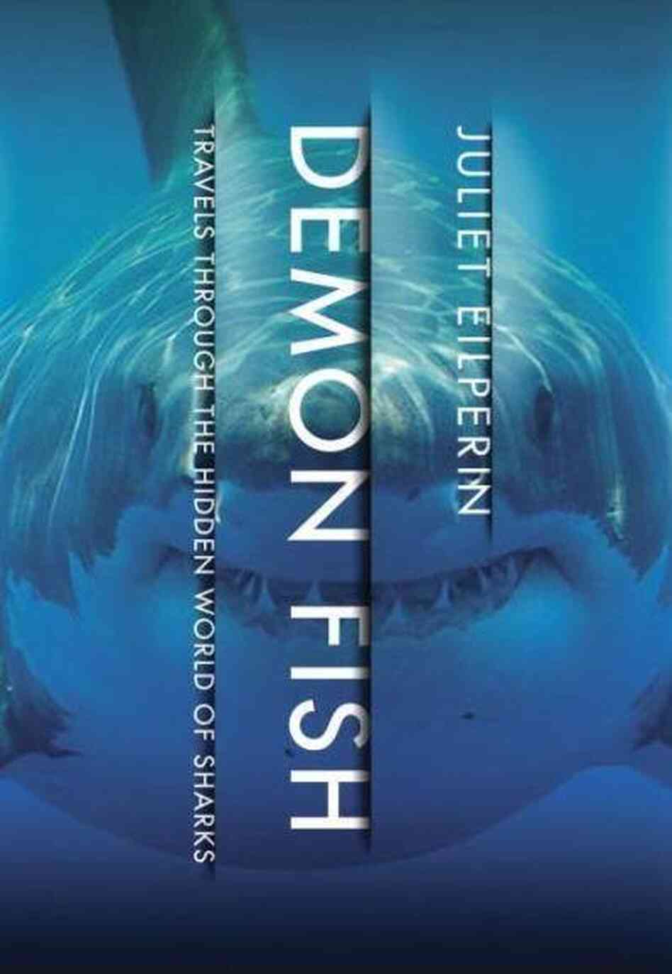 Demon Fish Demon Fish