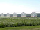 Wright County Egg (pictured) and Hillandale Farms, both in Iowa, recalled more than a half-billion eggs last year because of salmonella. Wright County Egg (pictured) and Hillandale Farms, both in Iowa, recalled more than a half-billion eggs last year because of salmonella.