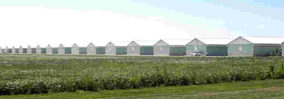Wright County Egg (pictured) and Hillandale Farms, both in Iowa, recalled more than a half-billion eggs last year because of salmonella.