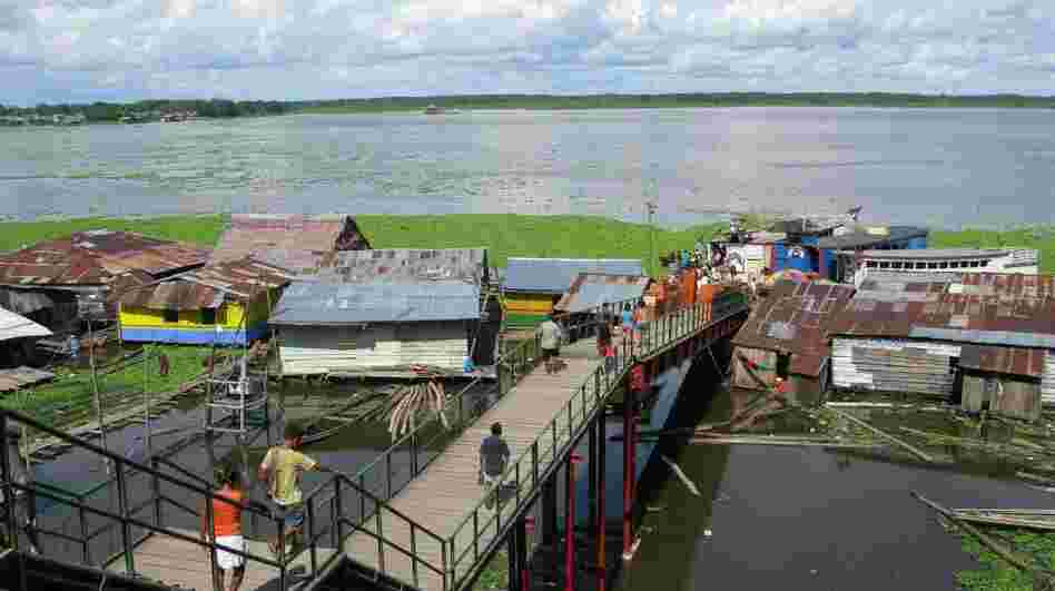 The city of Iquitos, Peru, in the heart of the Amazon rain forest, has become a giant open-air laboratory to study the spread of dengue fever. The city of Iquitos, Peru, in the heart of the Amazon rain forest, has become a giant open-air laboratory to study the spread of dengue fever.