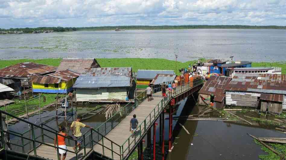 The city of Iquitos, Peru, in the heart of the Amazon rain forest, has become a giant open-air laboratory to study the spread of dengue fever. The city of Iquitos, Peru, in the heart of the Amazon rain forest, has become a giant open-air laboratory to study the spread of dengue fever.