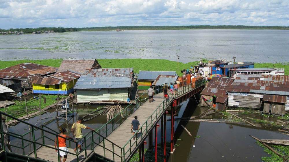 The city of Iquitos, Peru, in the heart of the Amazon rain forest, has become a giant open-air laboratory to study the spread of dengue fever.