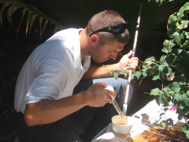 John David Snell inspects stagnant water at a foreclosed Key West home for signs of Aedes aegypti mosquito larvae. The mosquitoes, which transmit the dengue virus, have become more prevalent in the U.S.
