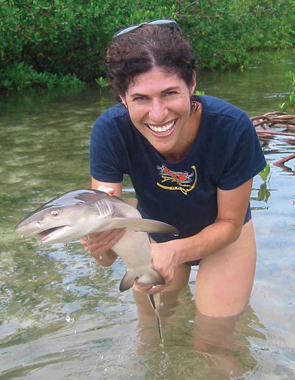 Juliet Eilperin, playing with a tiny shark. Juliet Eilperin, playing with a tiny shark.