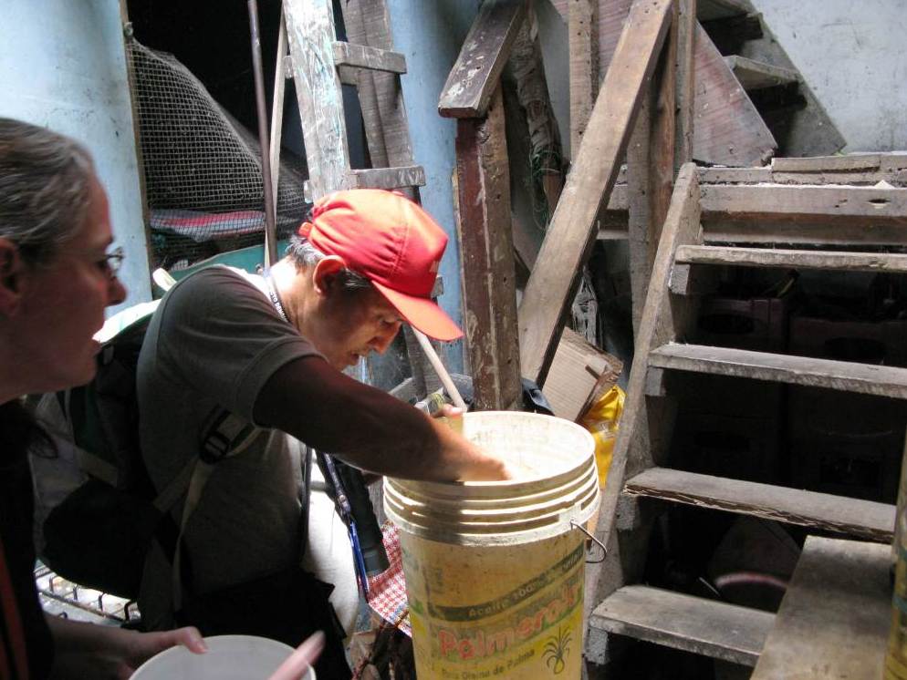 Families in Iquitos often put buckets in their homes to collect rainwater from leaky roofs. The stagnant water is a haven for mosquito larvae.