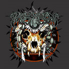 Cover for Premonition 13 Cover for Premonition 13