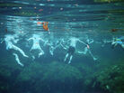 "Snorkeling group in cenote. Quintana Roo, Riviera Maya, Mexico" "Snorkeling group in cenote. Quintana Roo, Riviera Maya, Mexico"