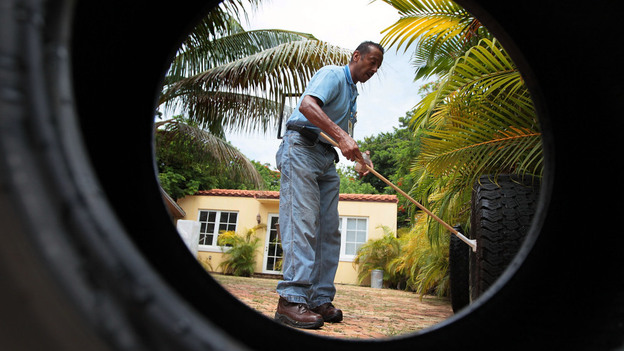 Lawrence Smart of Miami-Dade Mosquito Control looks for mosquito larvae in vehicle tires where water has collected, July 2010.