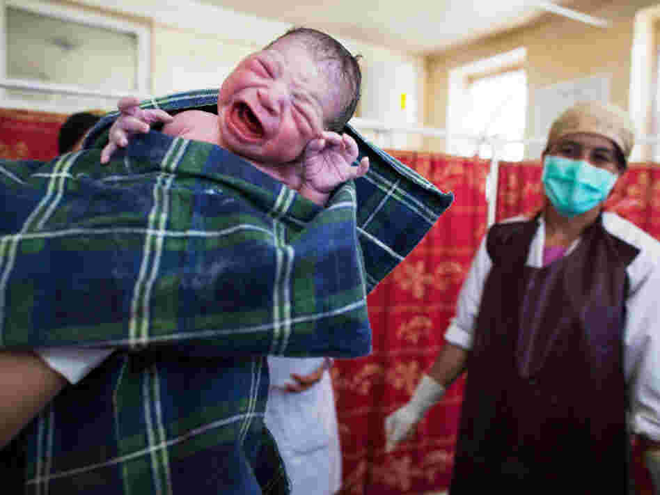 Picture of a newborn baby boy who is free of bacteria, however if he is breast fed by his mother, the milk will move different bacteria into the newborn child. Picture of a newborn baby boy who is free of bacteria, however if he is breast fed by his mother, the milk will move different bacteria into the newborn child.