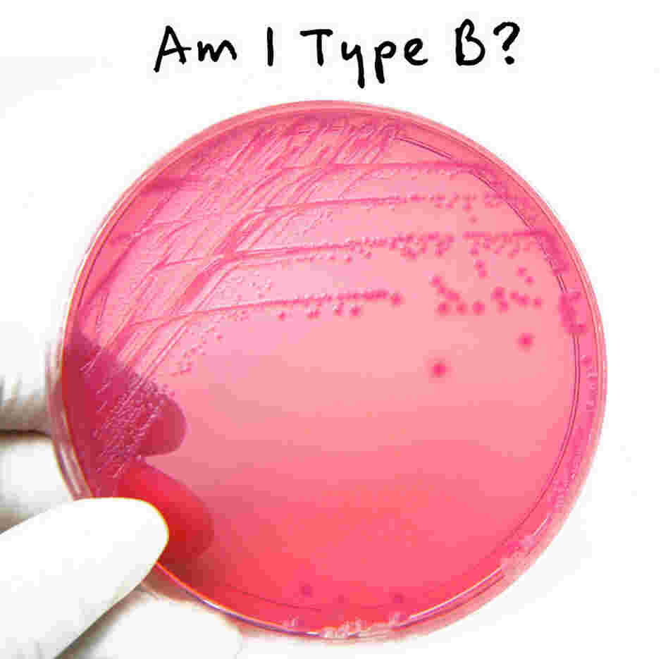 Am I Type B? Am I Type B?