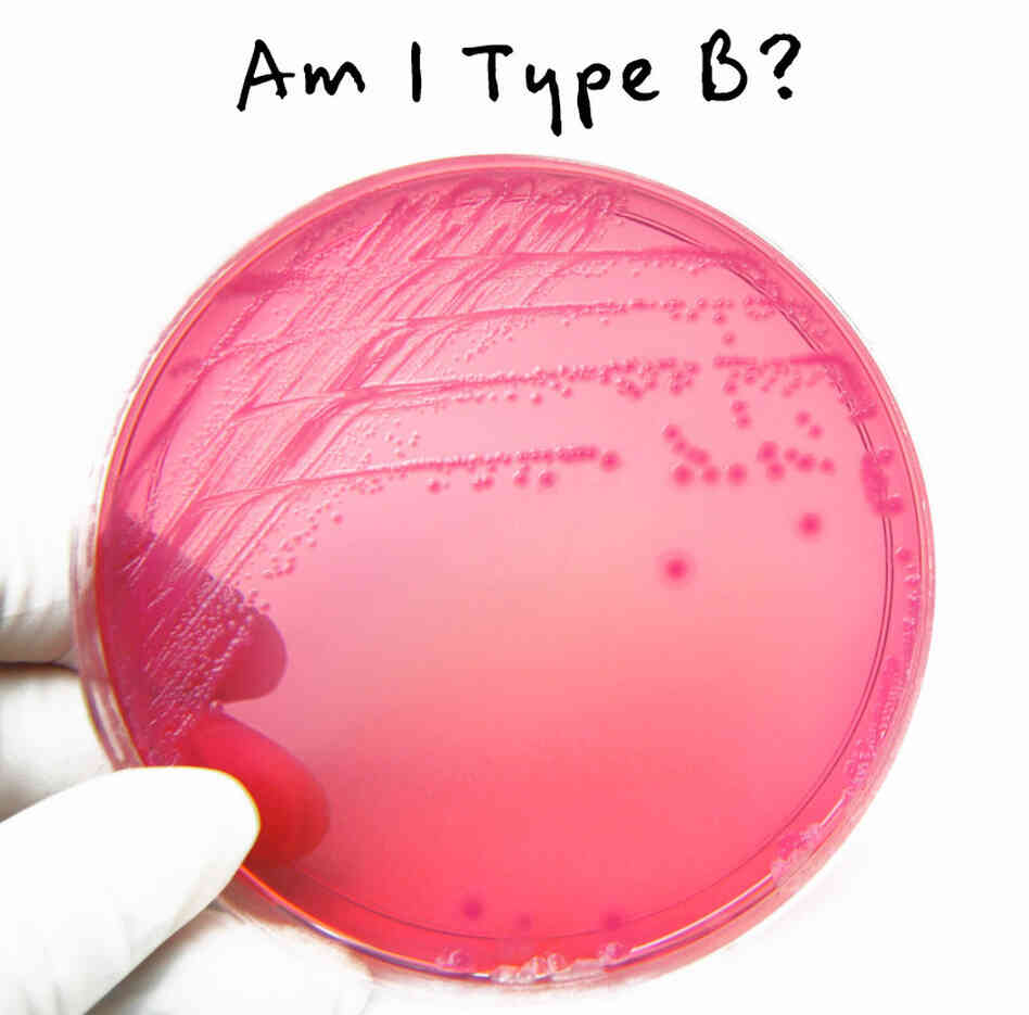 Am I Type B? Am I Type B?