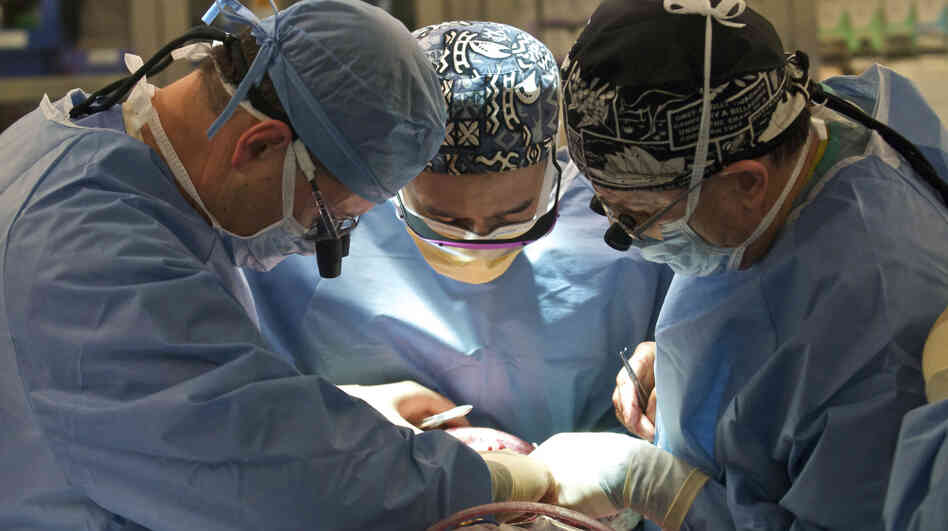 A surgical team performs a full face transplant on Charla Nash at the Brigham and Women's Hospital in Boston. A surgical team performs a full face transplant on Charla Nash at the Brigham and Women's Hospital in Boston.