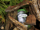 There are more than 5 million geocachers worldwide, stalking more than a million hidden caches. Most caches are small- to medium-sized containers with a logbook inside, and sometimes little items that geocachers can take with them, as long as they leave something of equal or more value in its place. There are more than 5 million geocachers worldwide, stalking more than a million hidden caches. Most caches are small- to medium-sized containers with a logbook inside, and sometimes little items that geocachers can take with them, as long as they leave something of equal or more value in its place.