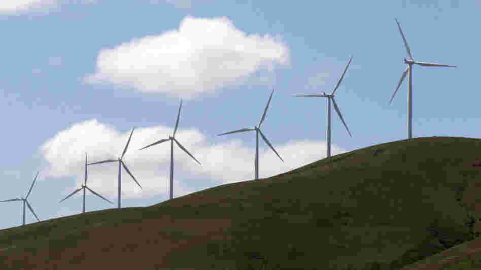 Wind turbines along the Columbia River Gorge near Goldendale, Wash. The Obama administration is hoping that a bet on green technologies will create the jobs of the future.