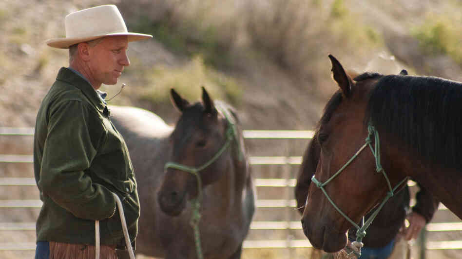 As a child, Buck Brannaman was badly abused by his father. Cindy Meehl's documentary, Buck, tells the story of how Brannaman overcame his troubled childhood and become the inspiration for the book and movie The Horse Whisperer. As a child, Buck Brannaman was badly abused by his father. Cindy Meehl's documentary, Buck, tells the story of how Brannaman overcame his troubled childhood and become the inspiration for the book and movie The Horse Whisperer.