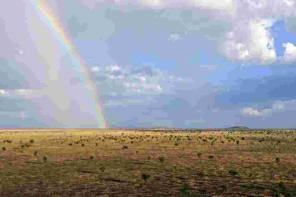 South Sudan is poised to become the world's newest nation next month and is home to one of the planet's great animal migrations. 