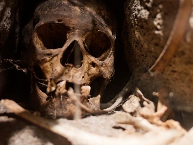 skull