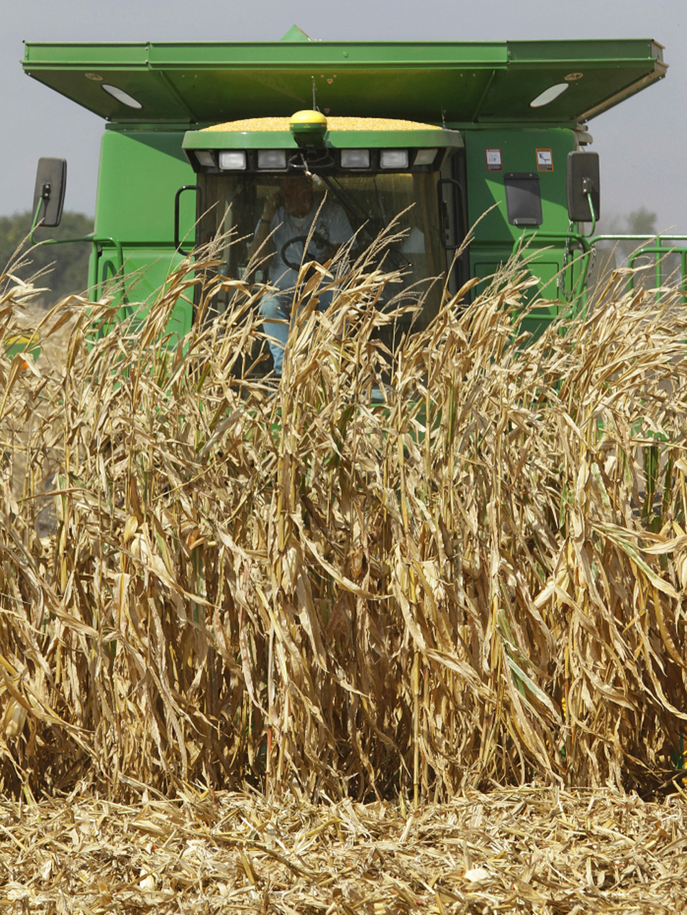 Central Illinois farmers harvest their corn crops near Monticello, Ill., September 2010.