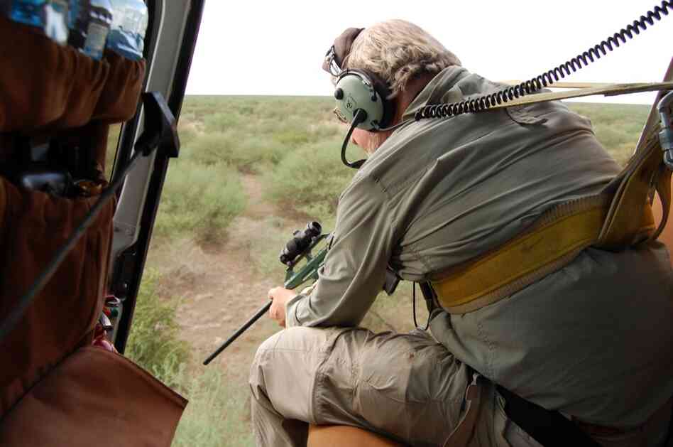 Veterinarian Mike Kock aims his tranquilizer gun out of a helicopter at an elephant in the bush below. Kock works with the New York-based Wildlife Conservation Society studying where animals migrate in South Sudan to better protect them from poachers and development. 