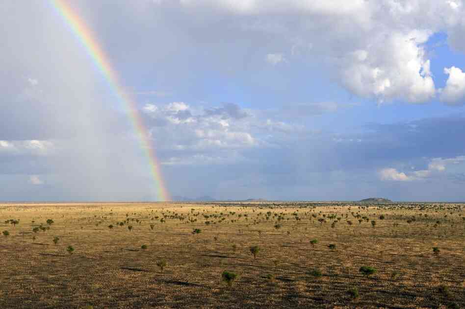 South Sudan is poised to become the world's newest nation next month and is home to one of the planet's great animal migrations. 