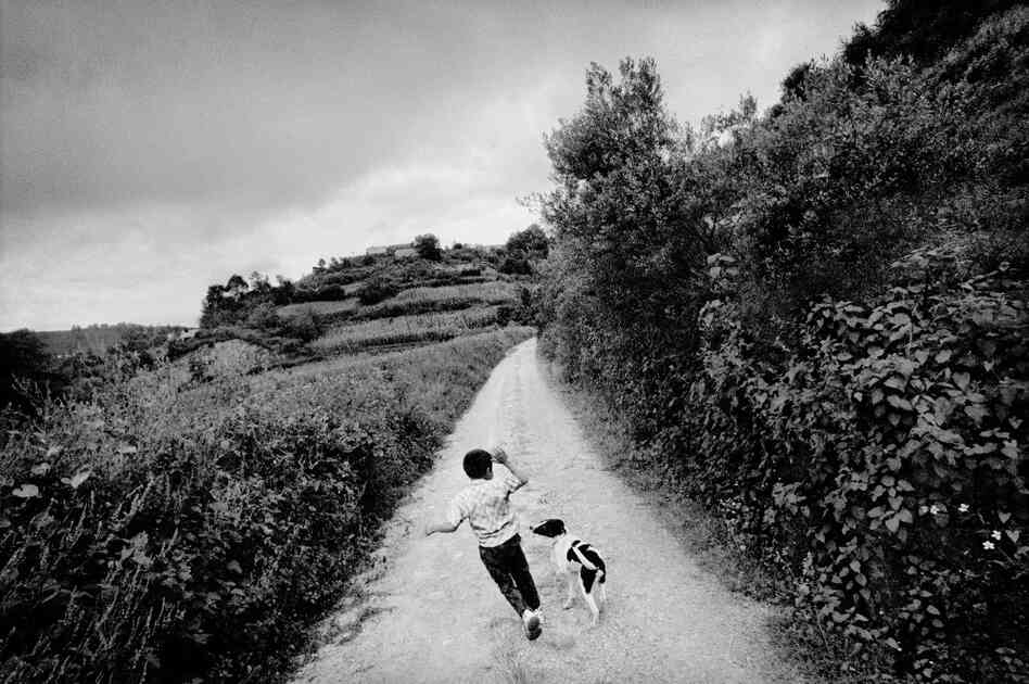A boy plays with his dog outside town, San Miguel Cuevas, Mexico. A boy plays with his dog outside town, San Miguel Cuevas, Mexico.