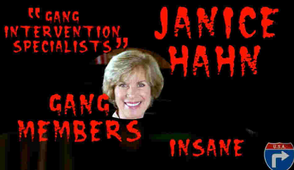 A screenshot from an ad targeting Democrat Janice Hahn. The ad, created by independent conservative filmmaker Ladd Ehlinger Jr., features a scantily clad woman gyrating around a stripper pole, while two black men armed with semi-automatic rifles rap.