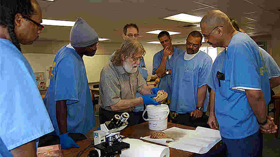 Charles Gross, a neuroscience professor at Princeton University, looks at a sheep brain with students at San Quentin as part of an Introduction to Biology class at the prison.