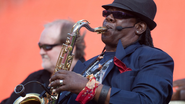 Clarence Clemons performing during halftime of an NFL game last November.