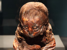 The Detmold Child: A mummy found in Peru. About 10 months old, the child died more than 3,000 years before Egypt's King Tut was born. The Detmold Child: A mummy found in Peru. About 10 months old, the child died more than 3,000 years before Egypt's King Tut was born.
