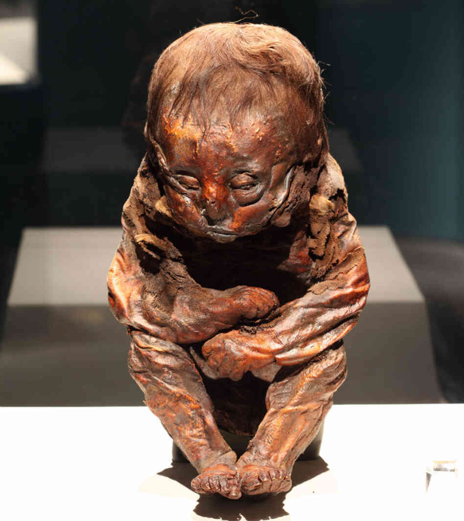 The Detmold Child: A mummy found in Peru. About 10 months old, the child died more than 3,000 years before Egypt's King Tut was born.