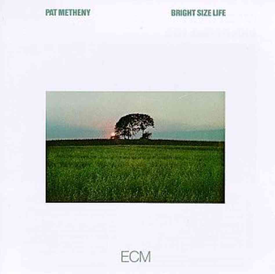 The cover of Bright Size Life The cover of Bright Size Life