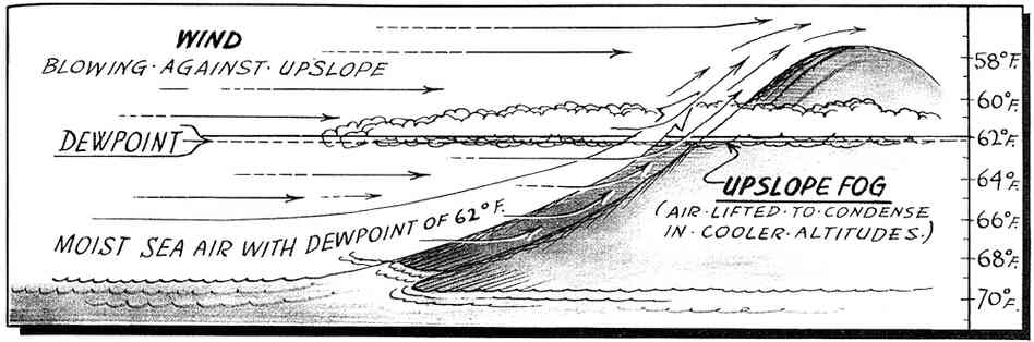 An illustration of the elementals of cloudbirth and dewpoint. An illustration of the elementals of cloudbirth and dewpoint.