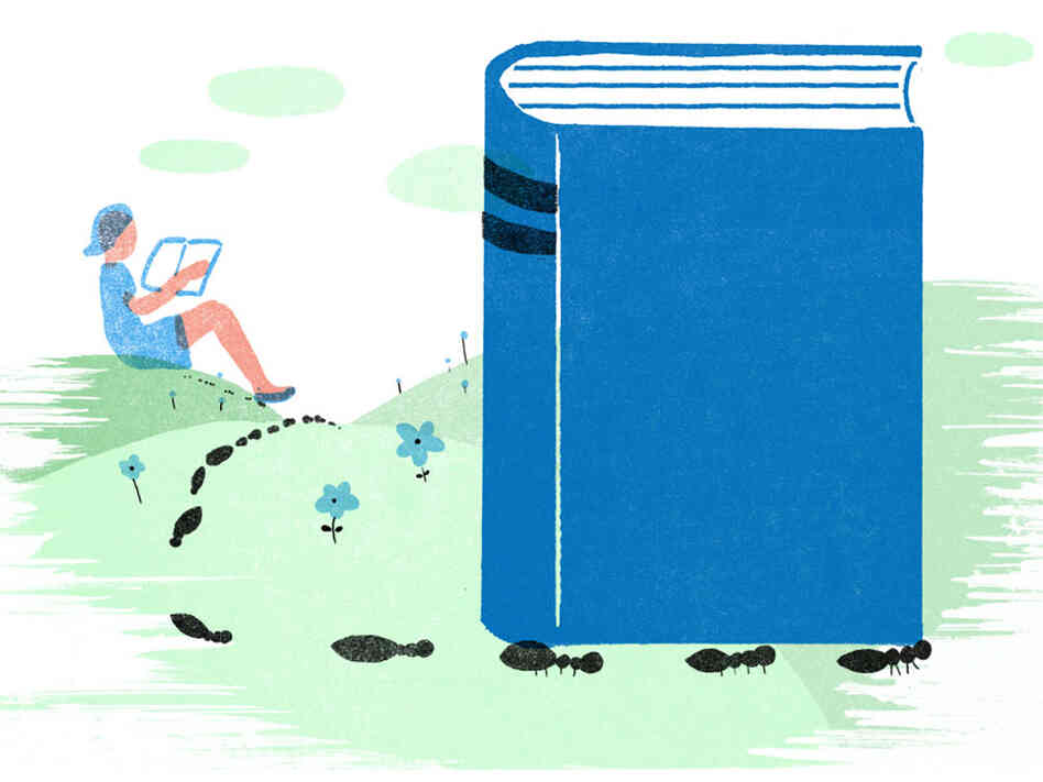 Illustration: Ants carry a book. Illustration: Ants carry a book.