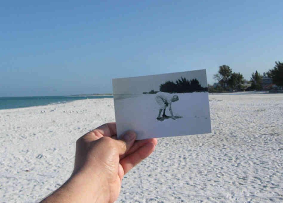 Dear Photograph, Grandma loved this beach. Dan Perry Dear Photograph, Grandma loved this beach. Dan Perry