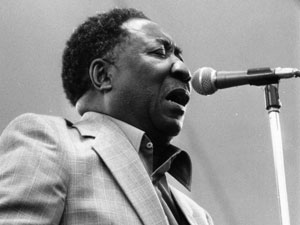 Muddy Waters Muddy Waters