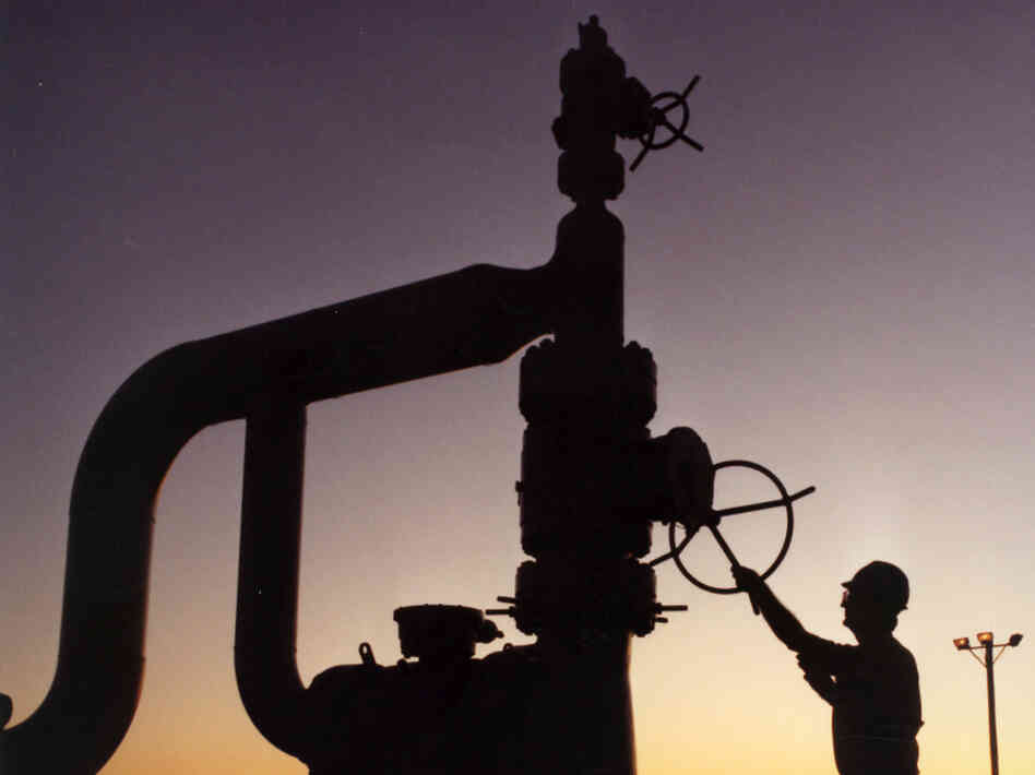 Strategic Petroleum Reserve Strategic Petroleum Reserve