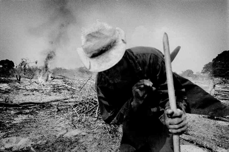 A farmer clears forest land to plant corn near the village of El Ciruelo, Mexico.