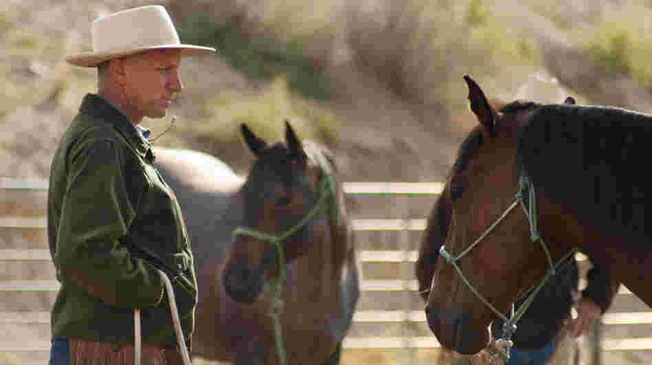 Buck Brannaman deals with "horses with people problems" in the new documentary Buck.